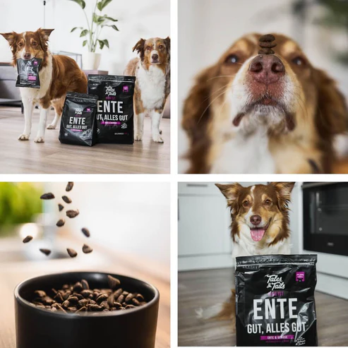 Tales & Tails Hundefutter 'Fisch Kopp?' – Softes Trockenfutter, 3 X 4 Kg, Mit Frischem Fisch